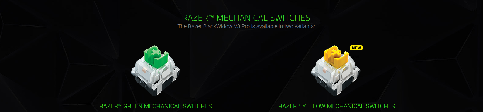 Bàn phím Razer BlackWidow V3 (USB/Green switch) (RZ03-03540100-R3M1)  sử dụng switch cơ độc quyền Razer